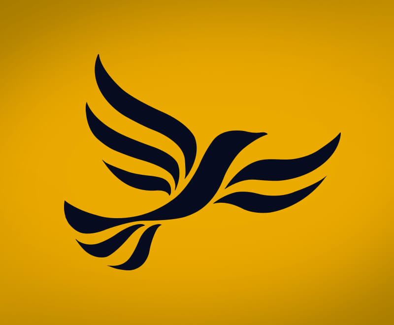 Five things we learnt Lib Dem Party Conference 2015 Pagefield